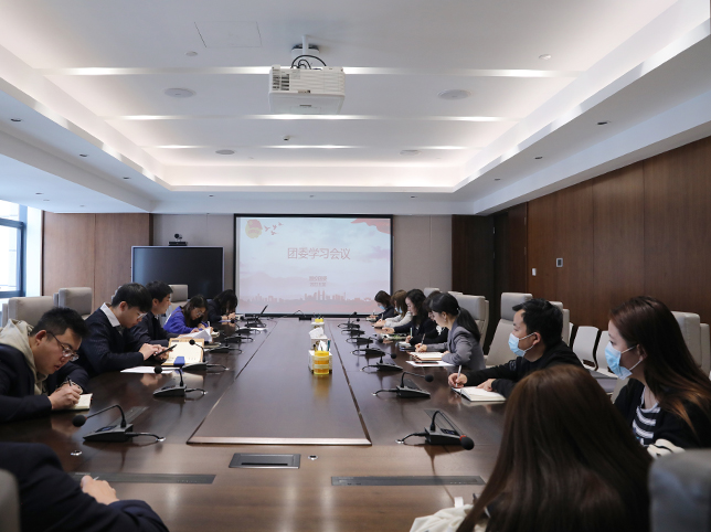 青海國投團委組織召開（擴大）會議