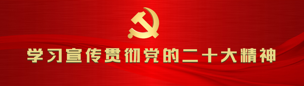 黨的二十大