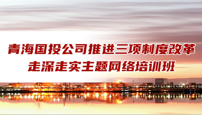 青海國(guó)投組織人力資源管理網(wǎng)絡(luò)培訓(xùn)班圓滿結(jié)業(yè)