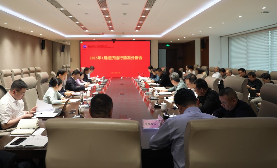 青海國投召開2025年1月經(jīng)濟(jì)運(yùn)行情況分析會(huì)